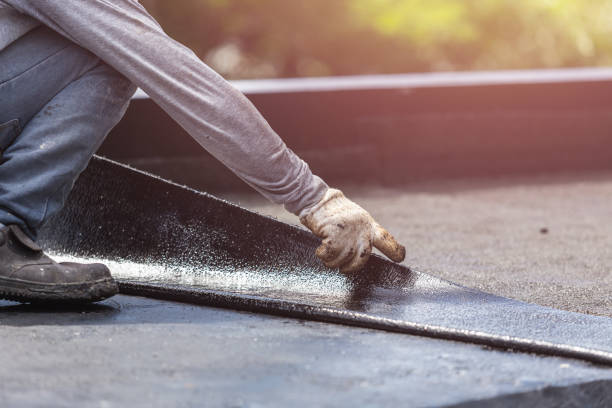 Professional Wet Basement Repair technician working in New Palestine, IN